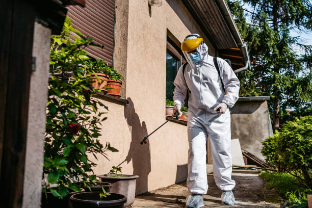 Best Pest Prevention Services  in Bellevue, WI