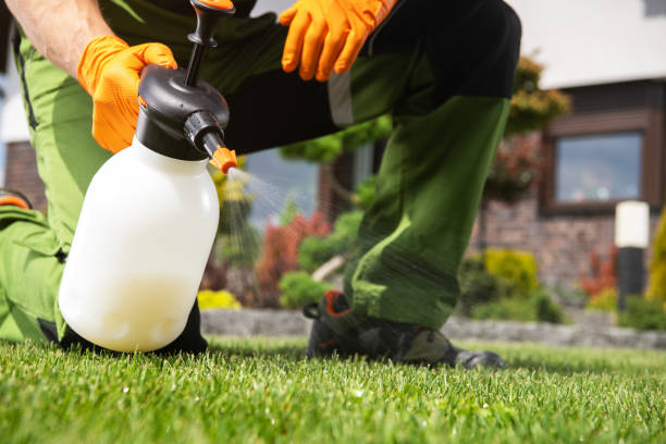 Best Best Pest Control Companies  in Bellevue, WI