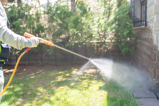 Best Affordable Pest Control Services  in Bellevue, WI