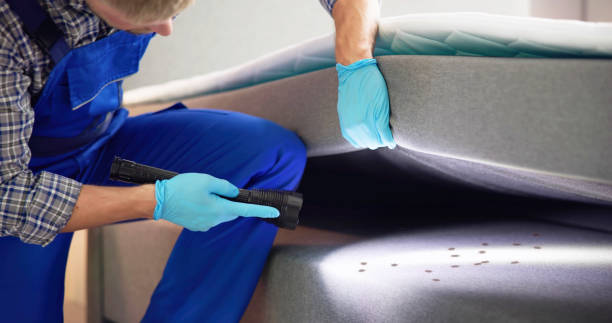 Best Cockroach Control Services  in Bellevue, WI