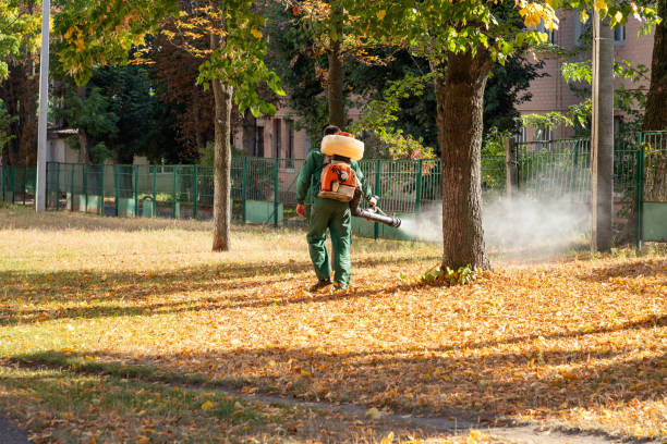 Best Emergency Pest Control  in Bellevue, WI