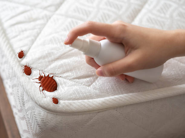 Best Pest Removal Services  in Bellevue, WI