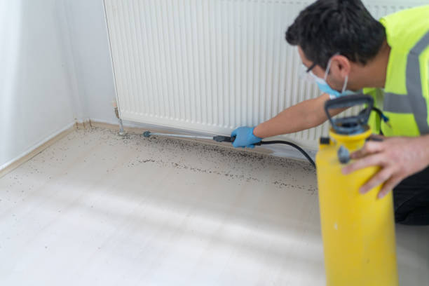Trusted Bellevue, WI Pest Control Experts