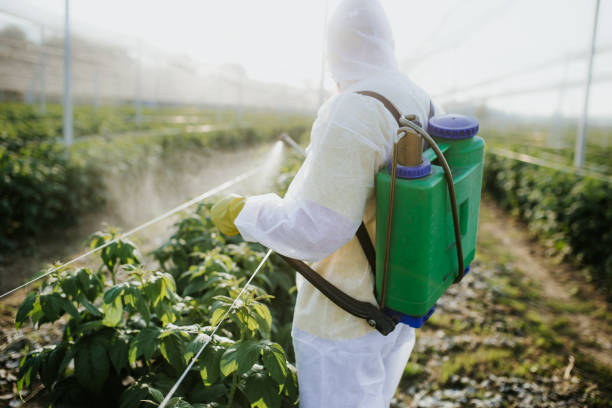 Best Best Pest Control Companies  in Bellevue, WI